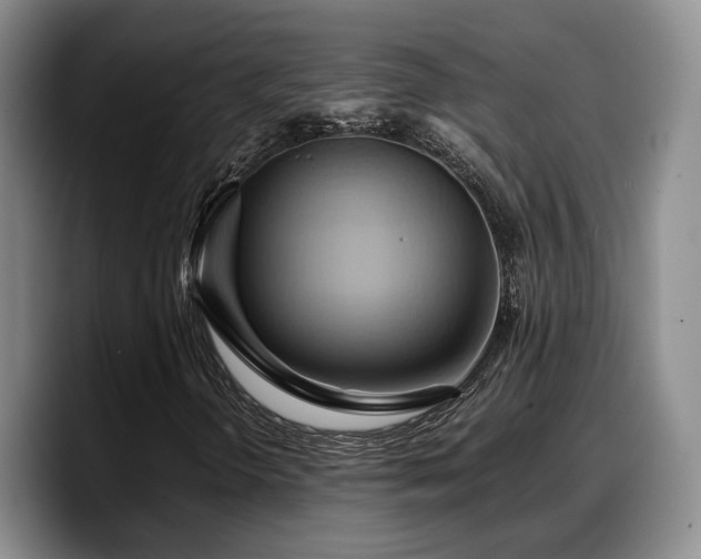 X0000090491298200707201530