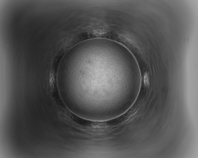 X0000090491299200707201530