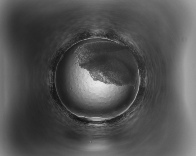 X0000090491301200707201530
