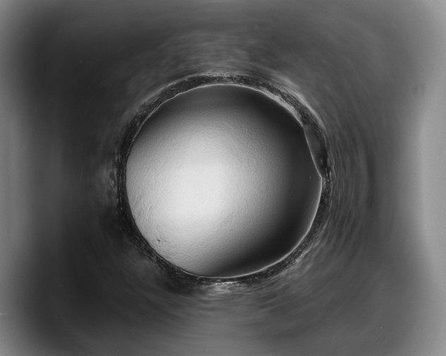 X0000090491304200707201530