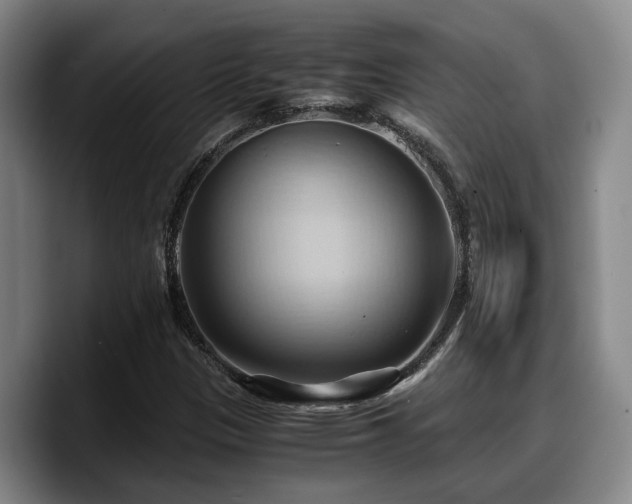 X0000090491305200707201530