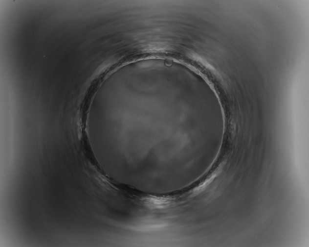X0000090491306200707201530