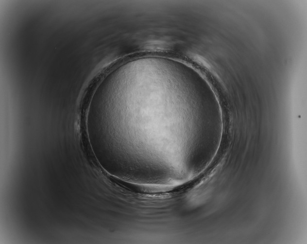 X0000090491307200707201530