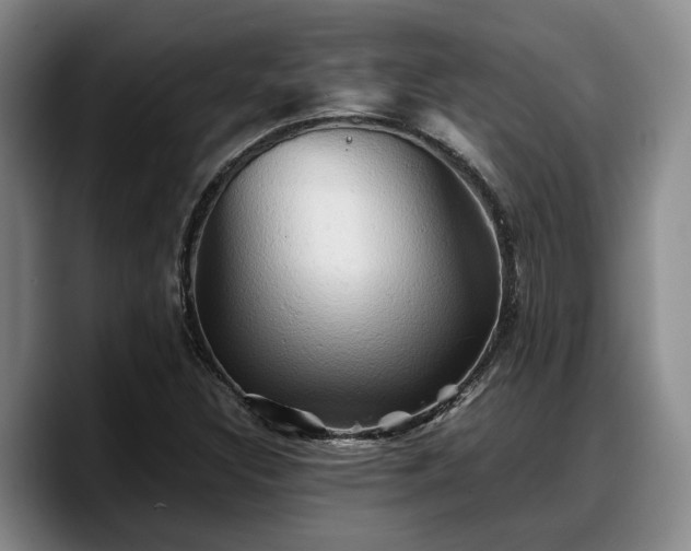 X0000090491308200707201530