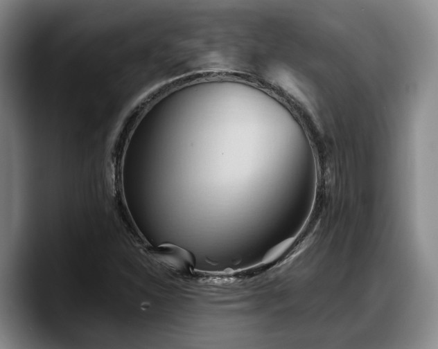 X0000090491310200707201530
