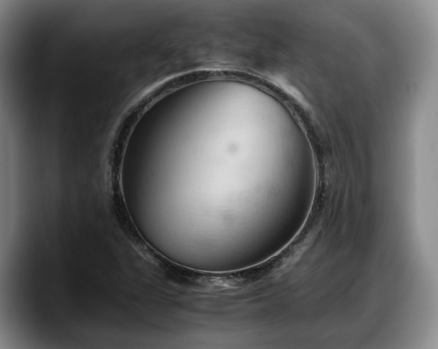 X0000090491311200707201530