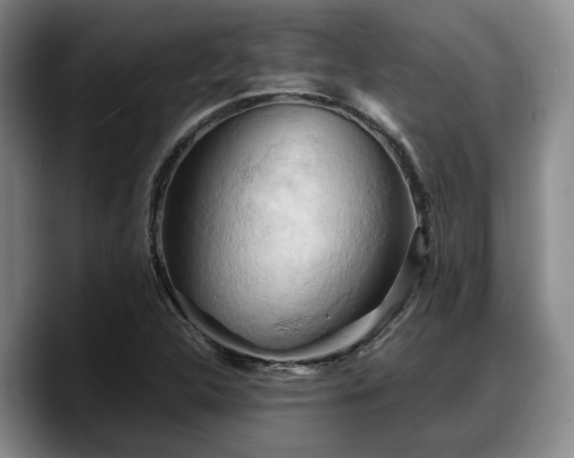 X0000090491312200707201530
