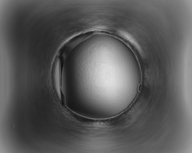 X0000090491316200707201530