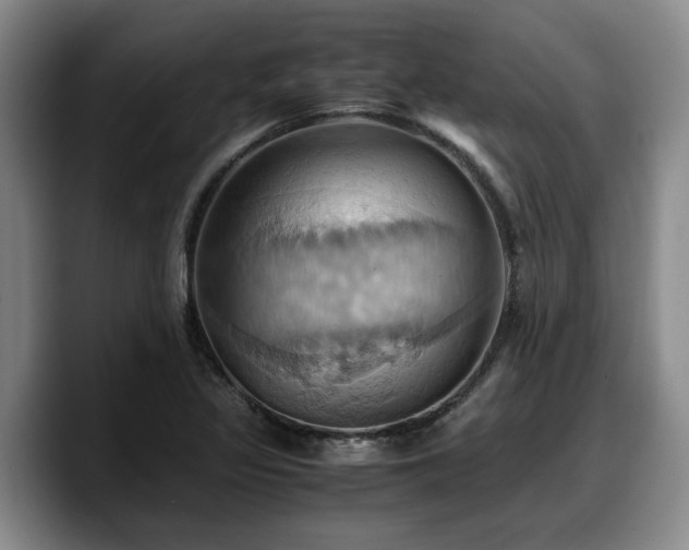X0000090491317200707201530