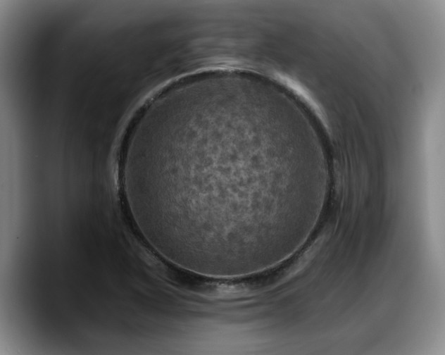 X0000090491318200707201530
