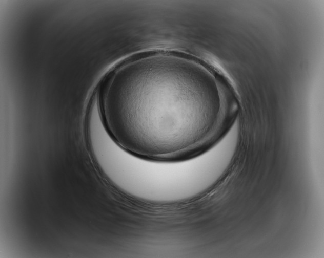 X0000090491320200707201530