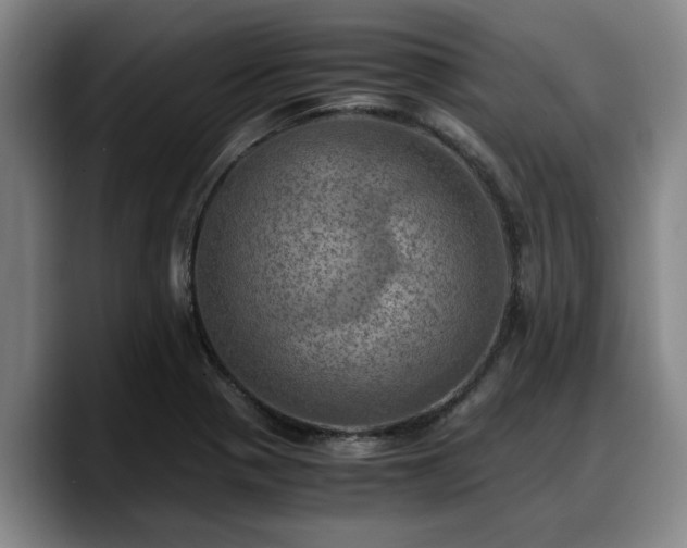 X0000090491321200707201530