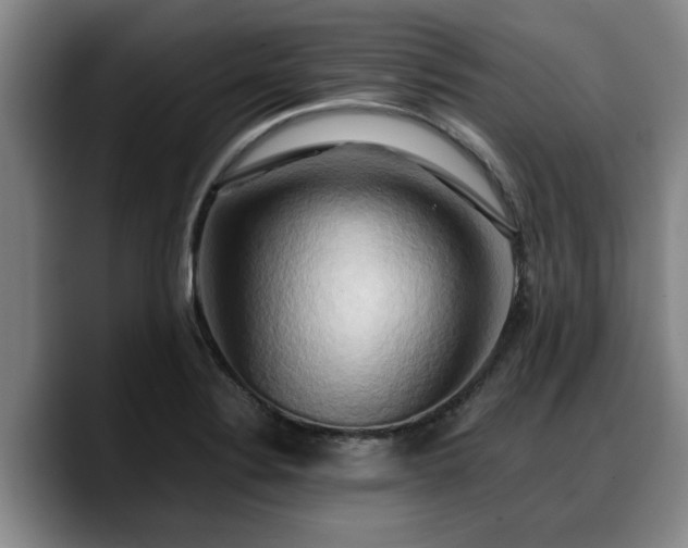 X0000090491324200707201530