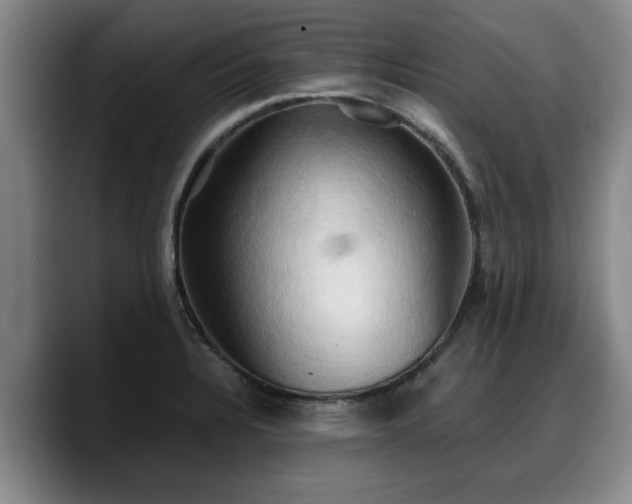 X0000090491328200707201530