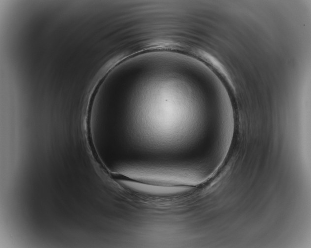 X0000090491330200707201530