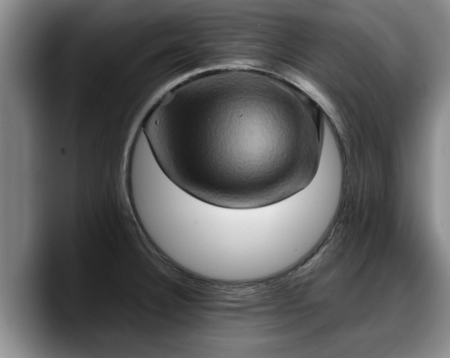 X0000090491332200707201530