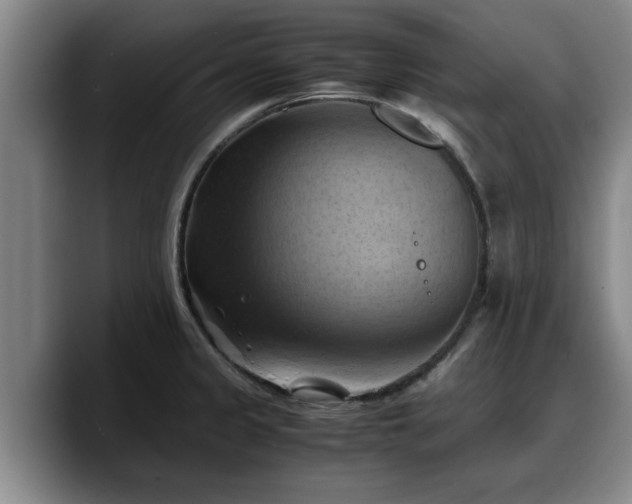 X0000090491333200707201530