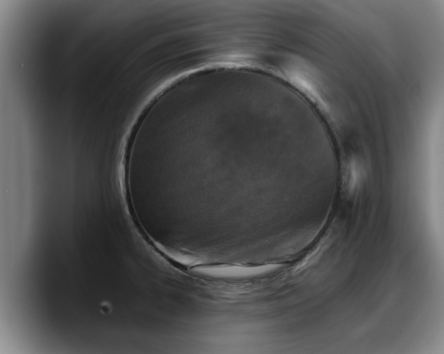 X0000090491334200707201530