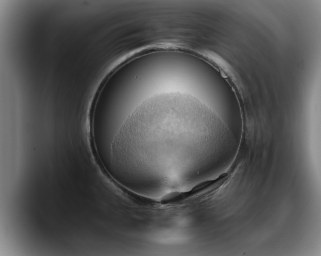 X0000090491335200707201530