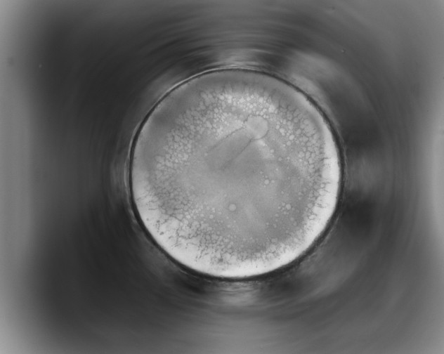 X0000090491338200707201530