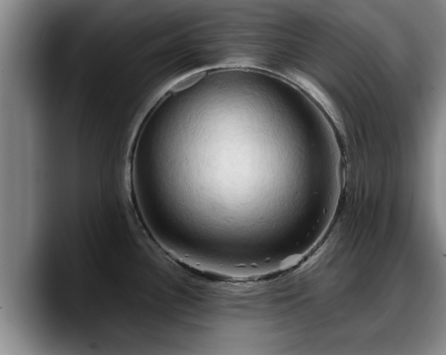 X0000090491340200707201530