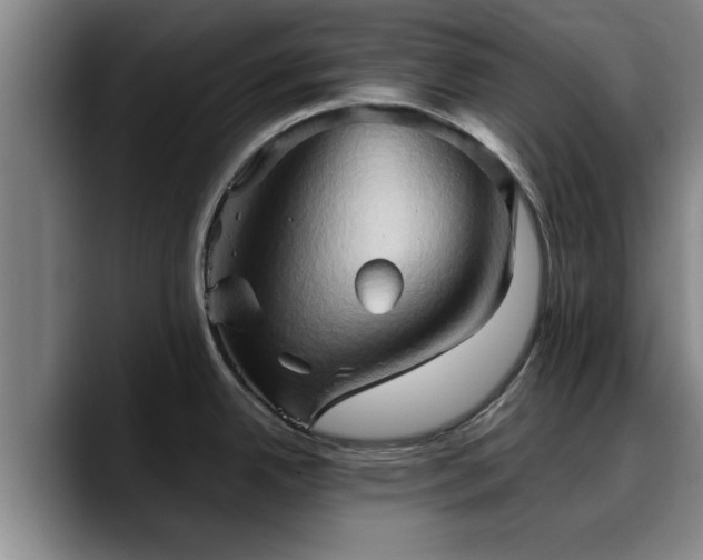 X0000090491342200707201530