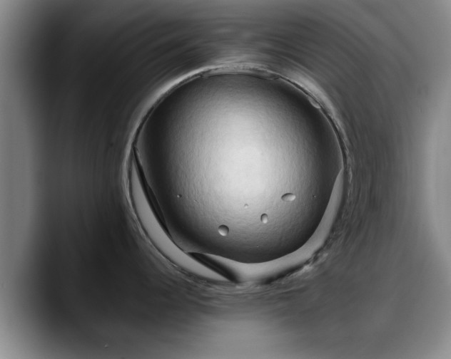 X0000090491344200707201530