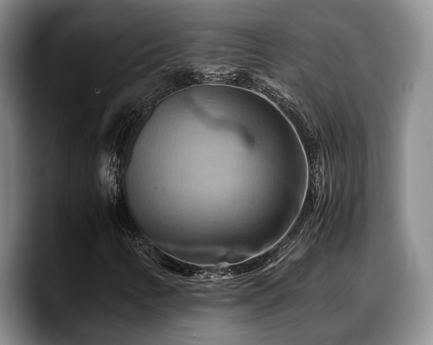 X0000090491346200707201530