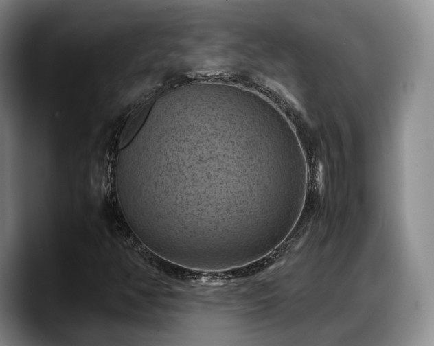 X0000090491350200707201530