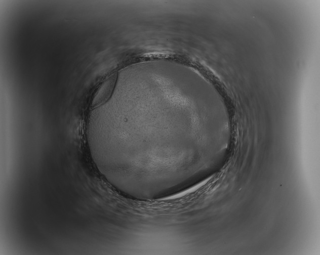 X0000090491351200707201530