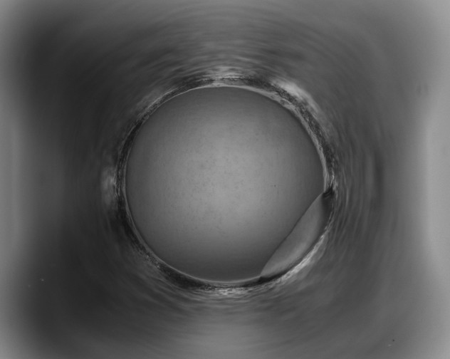 X0000090491353200707201530