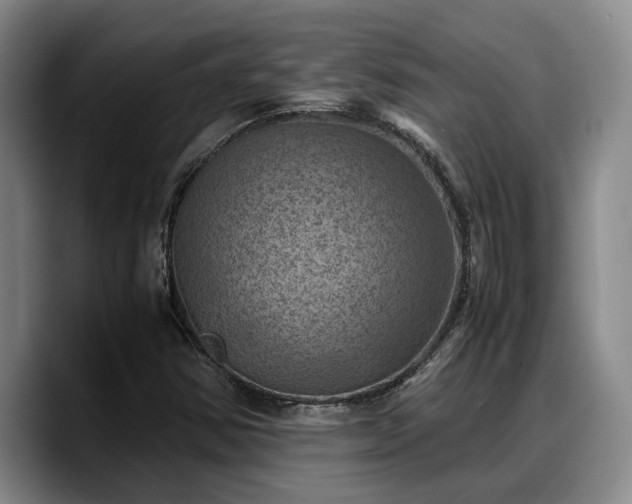 X0000090491354200707201530