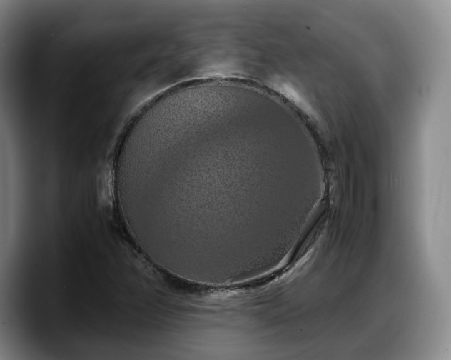 X0000090491358200707201530