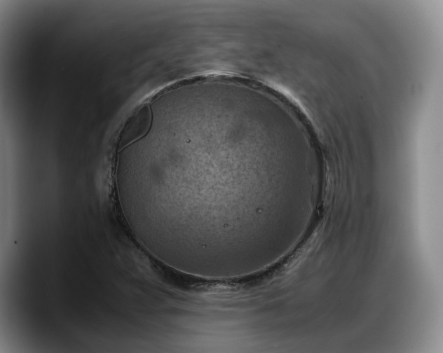 X0000090491359200707201530