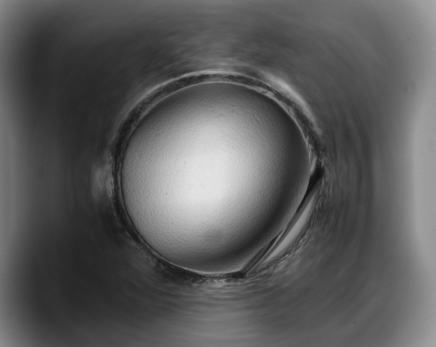 X0000090491360200707201530