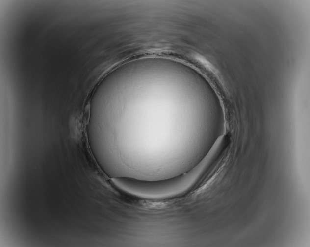 X0000090491361200707201530