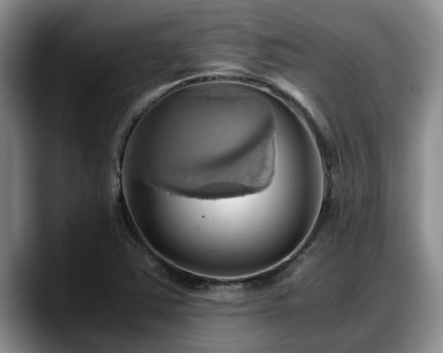 X0000090491363200707201530