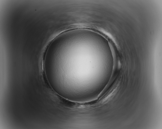 X0000090491365200707201530
