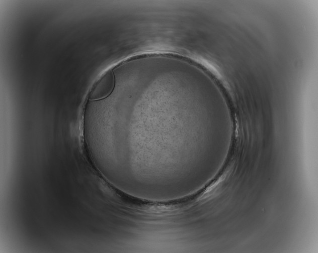 X0000090491366200707201530