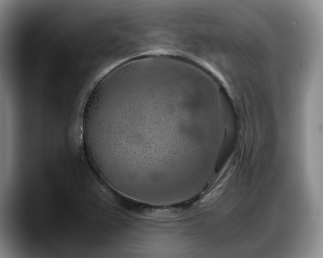 X0000090491367200707201530