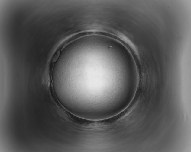 X0000090491368200707201530