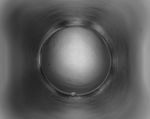 X0000090491370200707201529