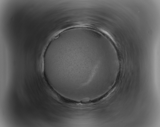 X0000090491371200707201529