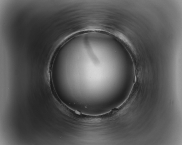 X0000090491372200707201529