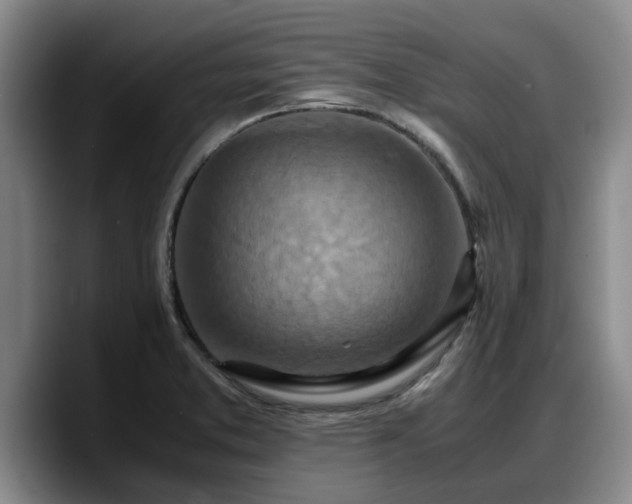 X0000090491373200707201529
