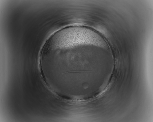 X0000090491374200707201529