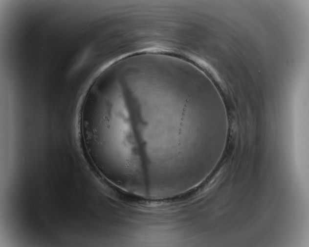 X0000090491375200707201529