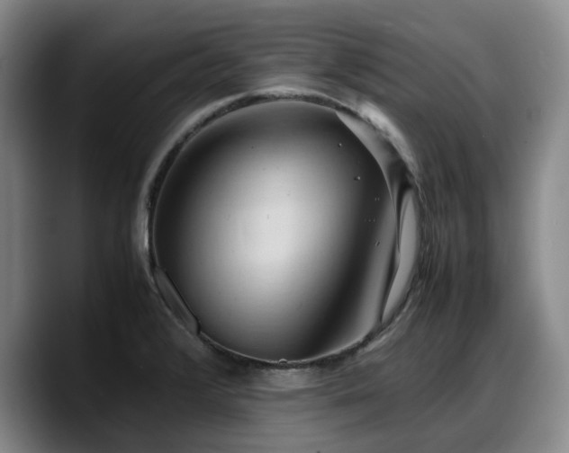 X0000090491376200707201529