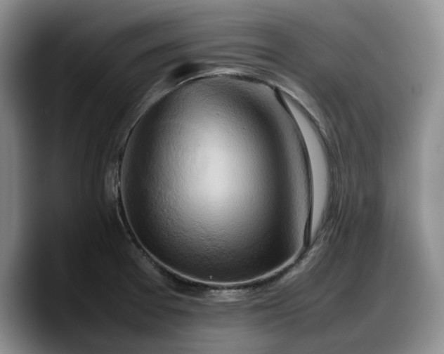 X0000090491377200707201529