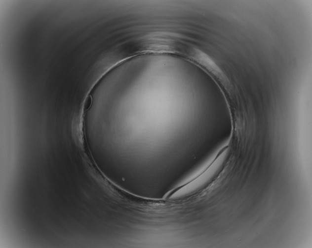 X0000090491378200707201529